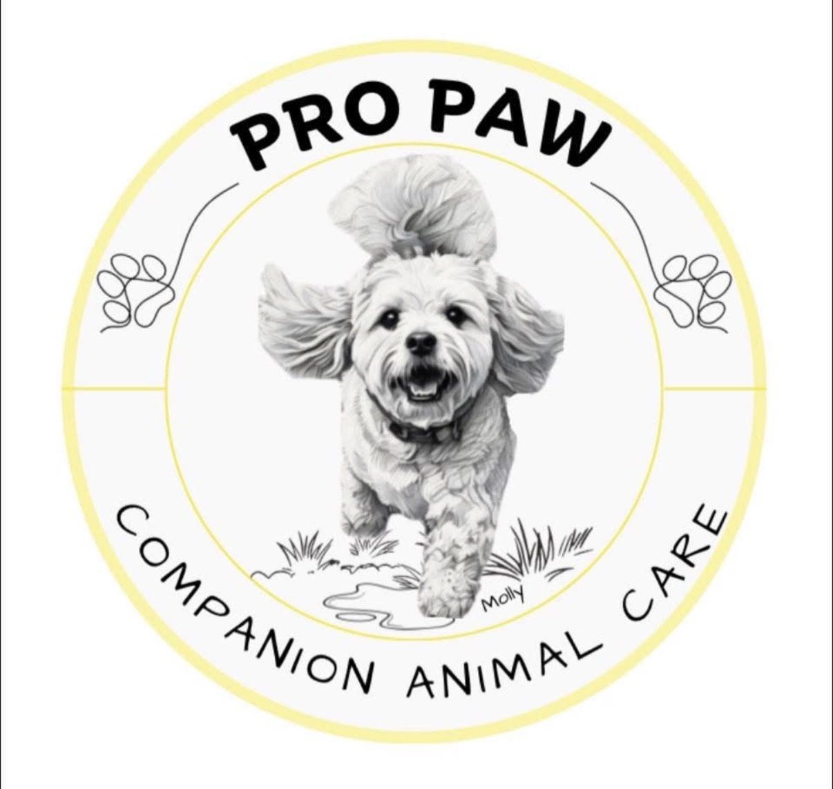 Pro Paw Companion Animal Care